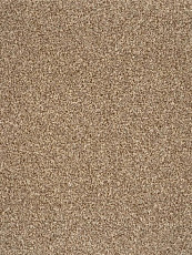 Ковролин AW Terra 42 фото 1 | FLOORDEALER